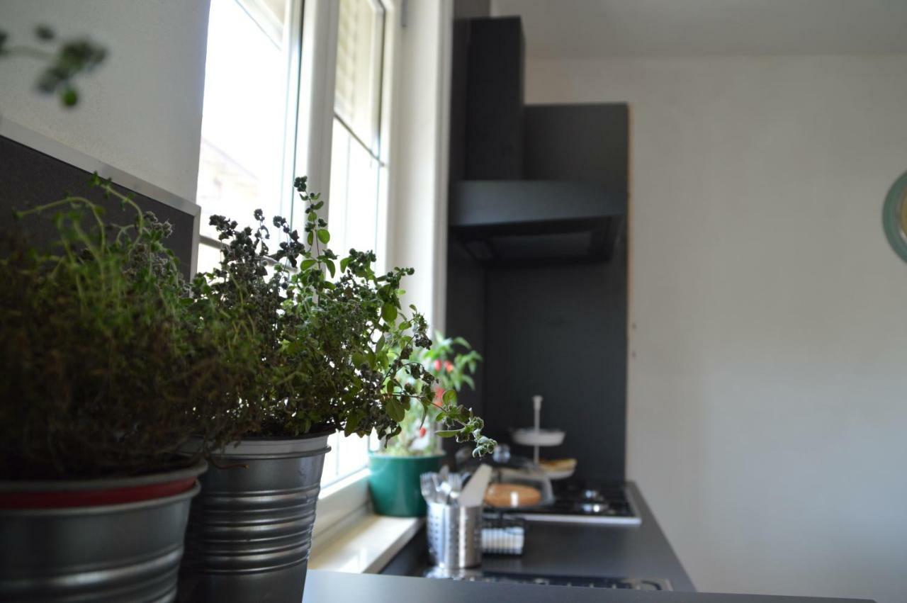 B&B La Via Di Casa 산리온 외부 사진